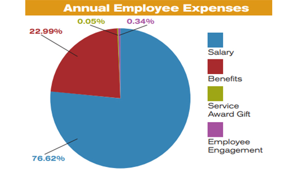 annual employee expenses