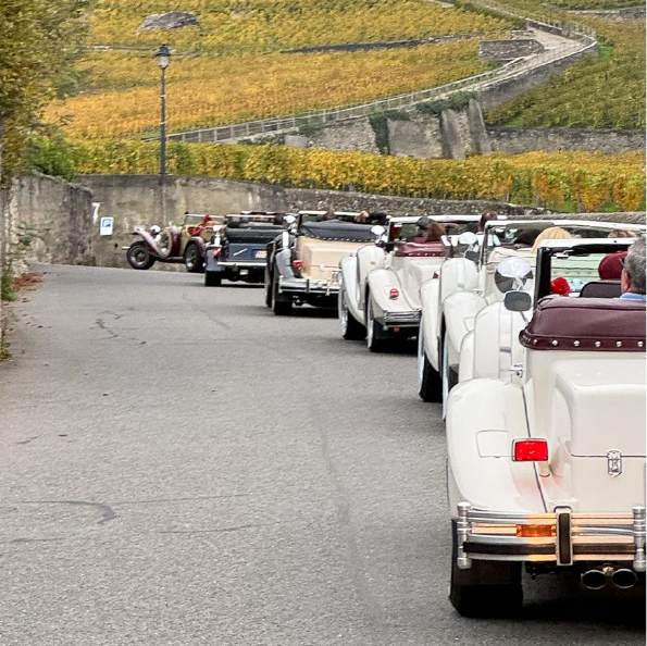A convoy of classic cars with white exteriors and maroon soft tops meanders through a scenic, hilly landscape perfect for group travel. Stone walls and a low fence hug the winding road, guiding the journey past lush vineyards.
