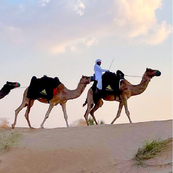 A person in traditional attire is riding a camel, leading a caravan of camels across the sandy desert—a perfect scene for group travel enthusiasts. The sky is partly cloudy with soft, warm lighting, and sparse vegetation dots the dunes.